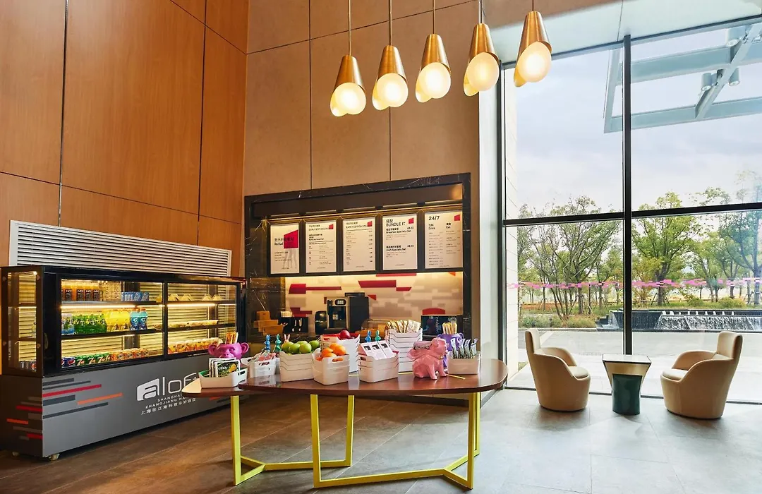 Aloft By Marriott Shanghai Zhangjiang Haike-1